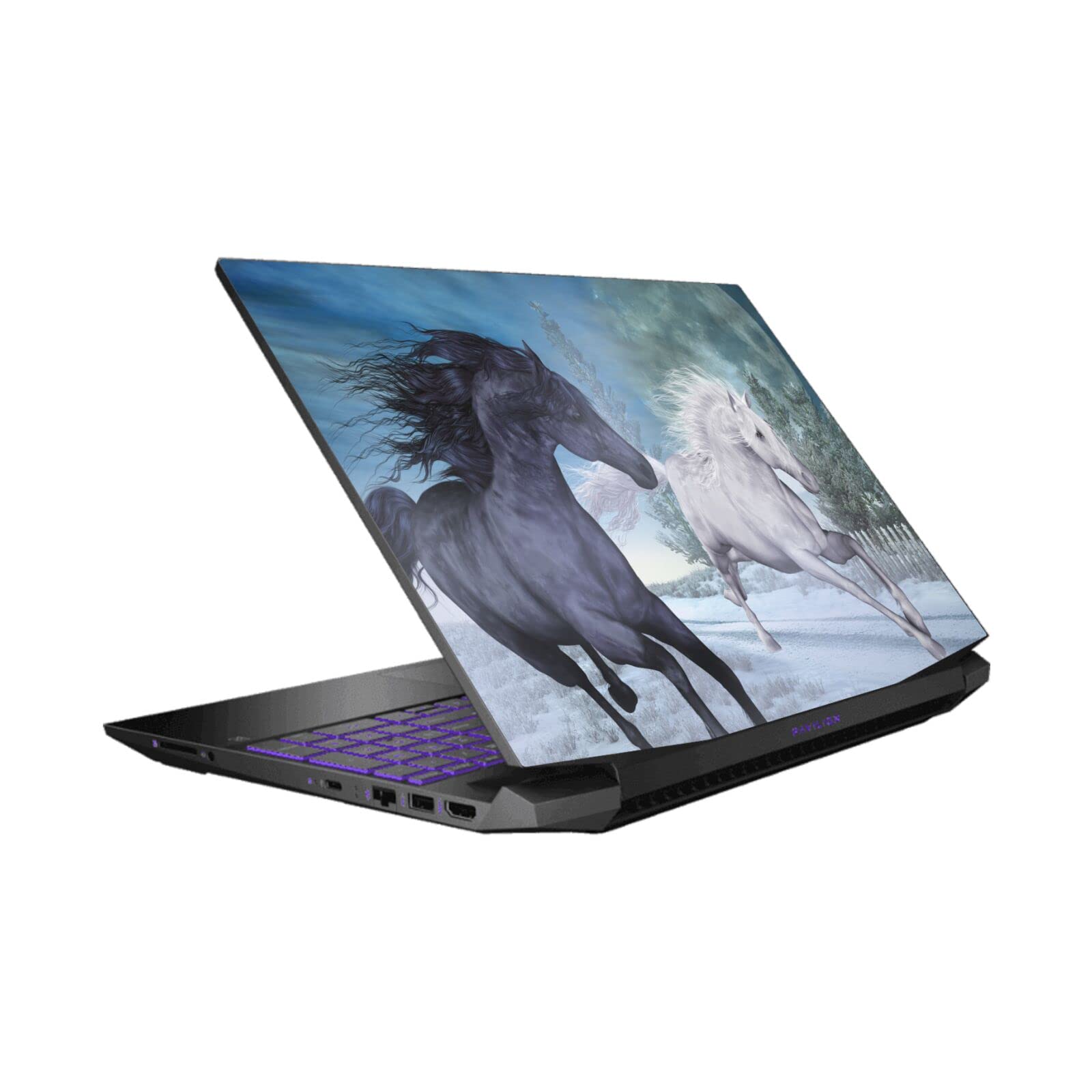 Skin HP Pavilion 15.6 anti rayure autocollant Simone Gatterwe