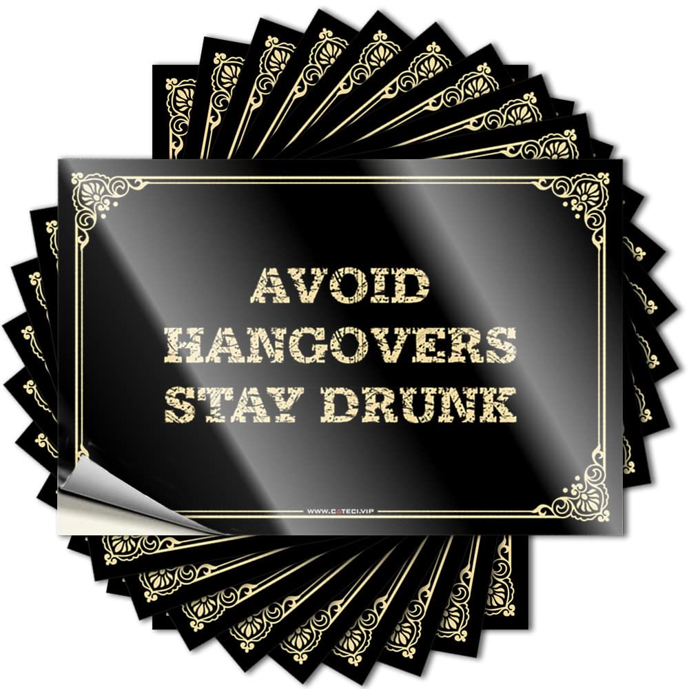 Sticker Bedroom Door Decor Easy Apply | Avoid Hangovers Stay Drunk Fuzzy Helmet Peel and Stick(8X12CM)