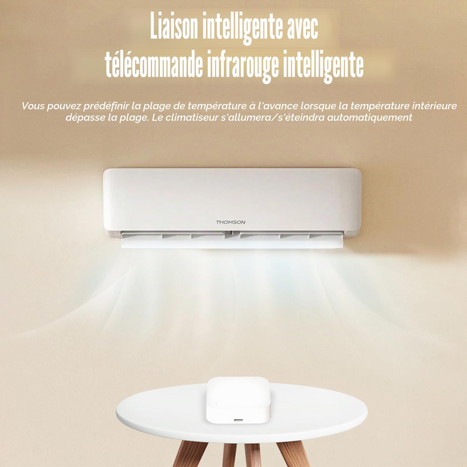 Thermomètre hygromètre WiFi intérieur extérieur : capteur intelligent de température et d'humidité avec notification d'application et stockage de données, portée de 150 m, compatible avec Alexa, 4
