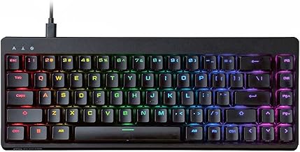 Gaming V Custom VK300 Mini 65% RGB Gaming Keyboard, Backlit Wired Mechanical Keyboard, Speed Silver Linear Switches, N-Key Rollover, Detachable Braided Cable, Doubleshot Keycaps (TK-VK300SBK)