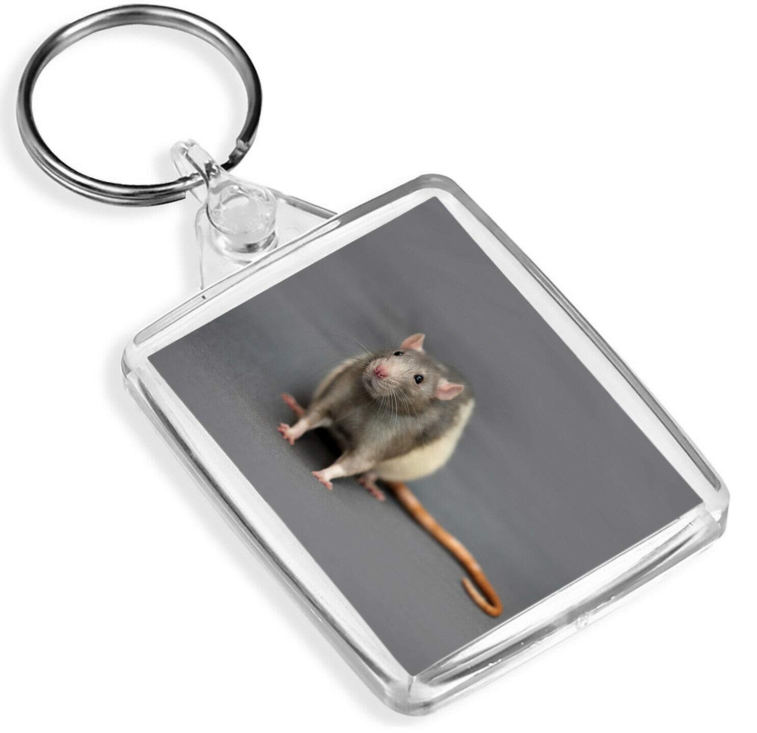 Destination Vinyl Keyrings Unisex Kids Multi Cute Fancy Rat Keyring Pet Rats Rodent Mouse Mice Kids Keyring #14158