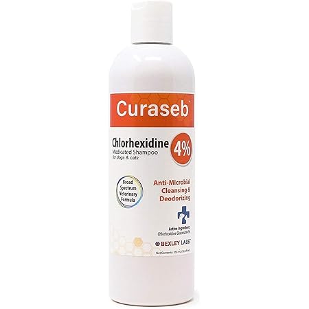 chlorhexidine dog wash