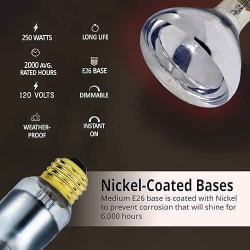 Miniatura 3 de Bulbmaster 250 vatios R40 - Bombillas de luz de calor transparente incandescente 250R40HR base E26 mediana paquete de 1 unidad