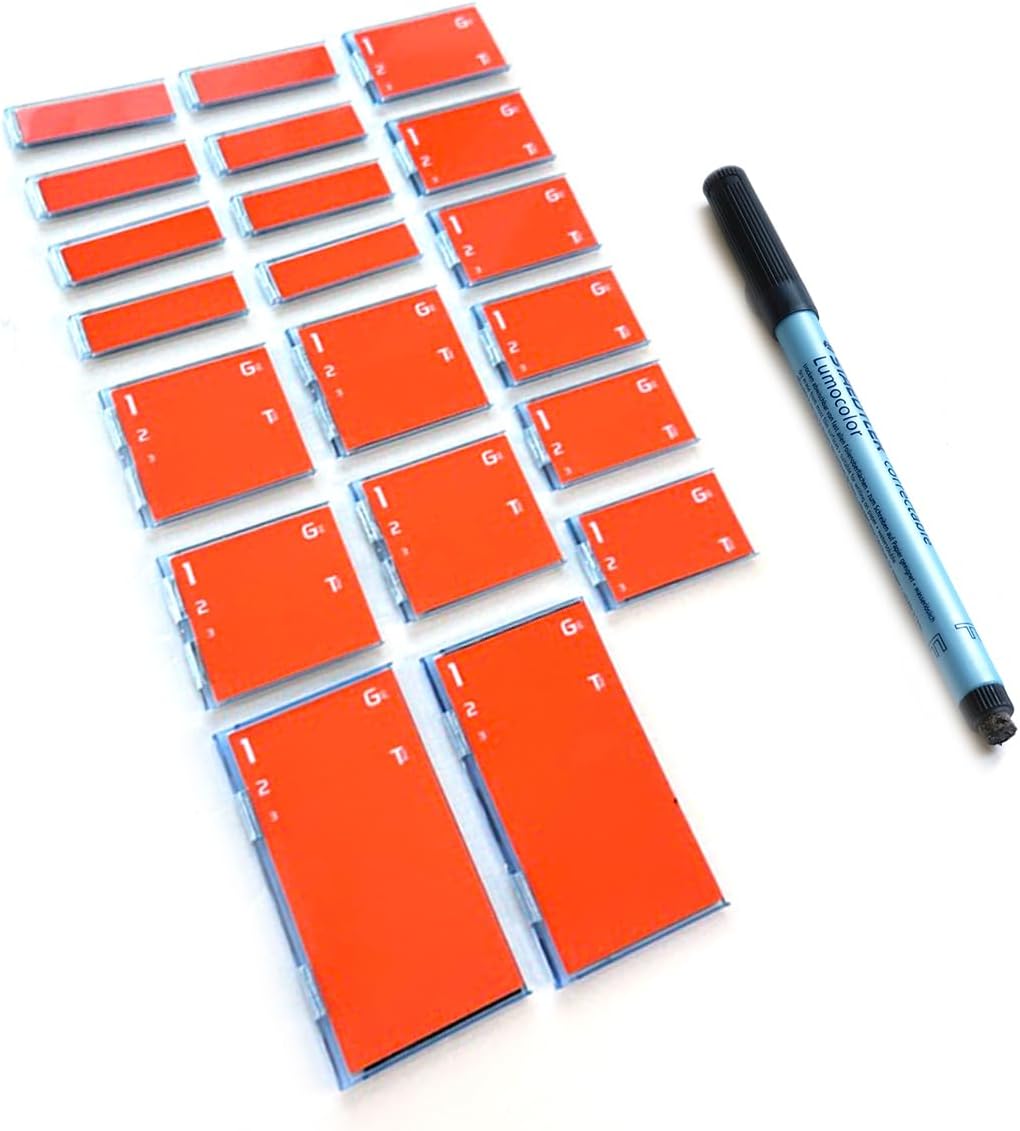Bravestorming Mover Erase Combo, Magnetic Dry Erase Memo Brick for Idea Visualization & Learning, School, Parenting, Office Projects and Presentations (Orange) Combo (Erase Version) Orange