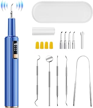 Ultrasonic Plaque Remover for Teeth with Smart Gum Protection - 42kHz Professional Tartar Remover, 10-Piece Kit 4 Heads + 6 Dentist Tools, LED Light, USB-C Rechargeable, IPX6 Waterproof for Home Use
