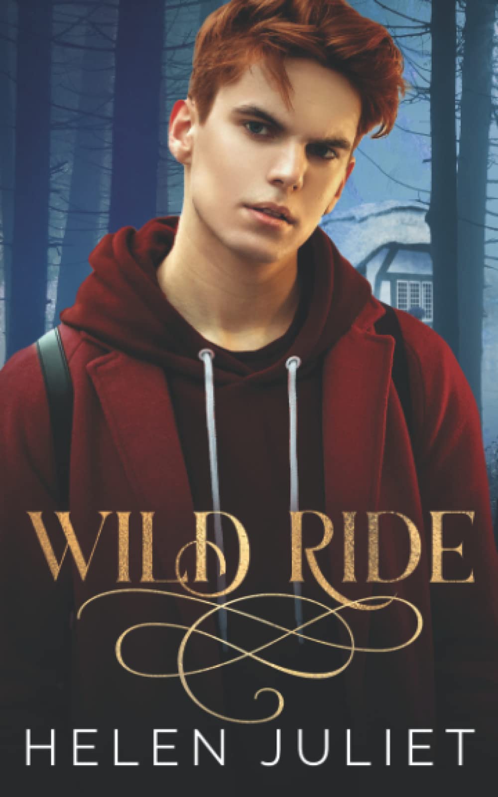 Wild Ride (Daddy's Fairy Tales)