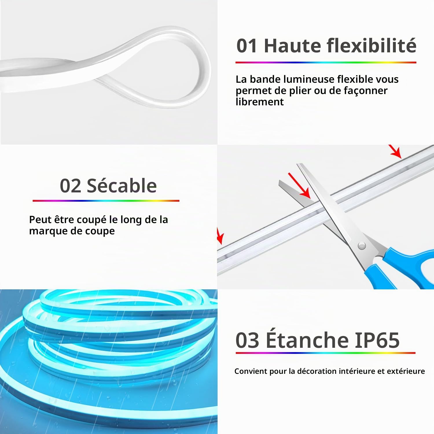 Segrass Bande LED Néon de 10 m avec commande APP, télécommande, bande RGB flexible étanche IP65, bande de 24 V pour la décoration de la chambre, de la pièce et de l'extérieur