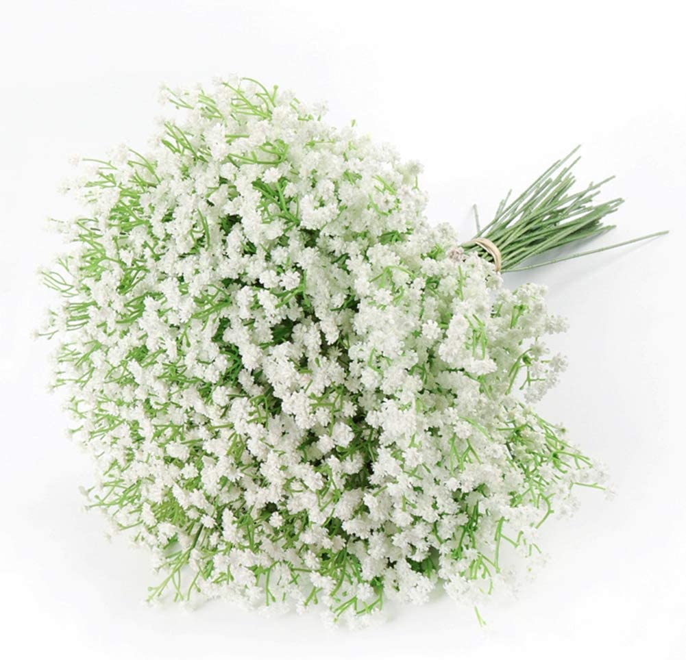 SRI SAI FORESTRY Gyposophila Elegans Babys Breath White Wild Flower Seed - 100 Seeds - Snow Flakes (B0C4VSYTWH) Amazon Price History, Amazon Price Tracker