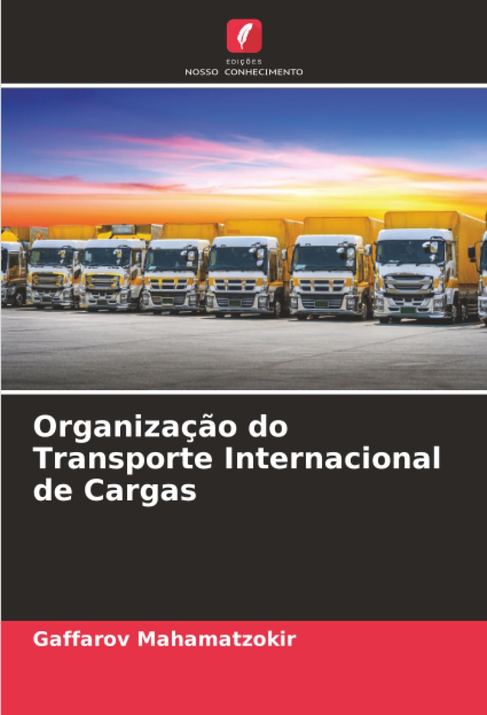 Organização do Transporte Internacional de Cargas