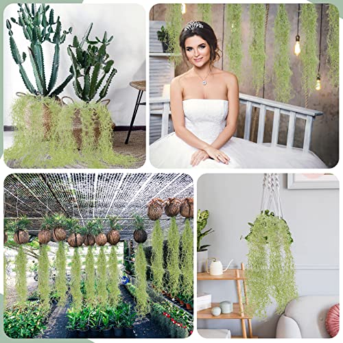 Optimisation de visibilité pour décoration végétale intérieure extérieure - 8