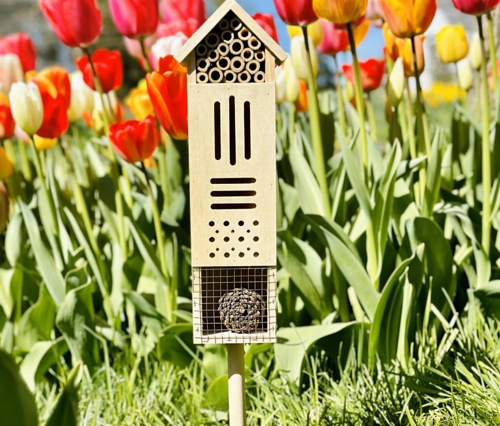 Large Wooden Insect House for Garden & Yard, Multi-Chamber Pollinator Habitat for Bees Butterflies Ladybugs, Christmas Outdoor Decor Gift (Single House)