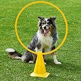 Zum Aufbau interessanter Sprungparcours