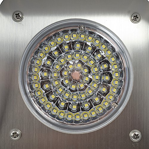 Leisure LED RV Exterior Flood Porch Utility Light Black 12v 1100