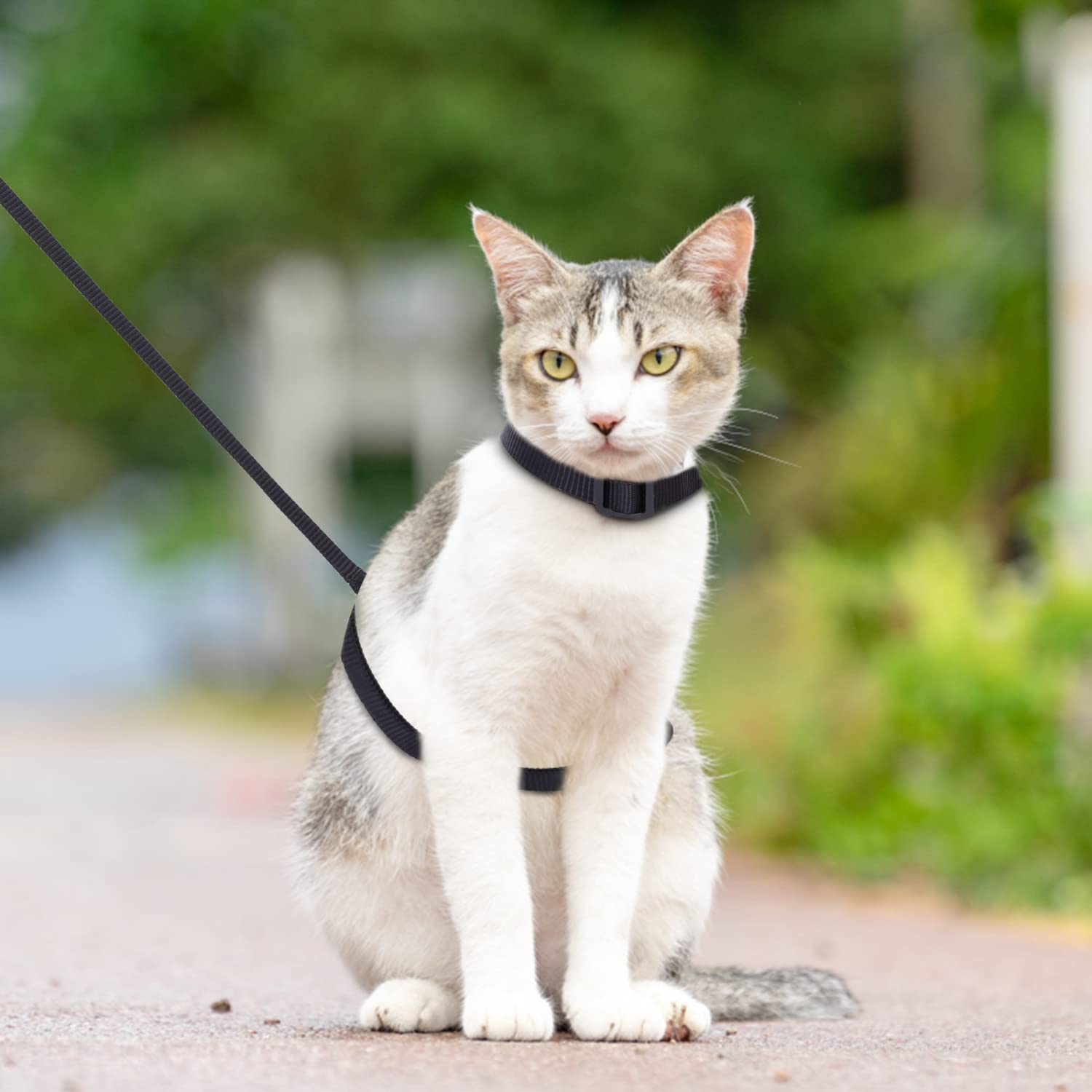 Nobleza Pettorina per Gatti con Guinzaglio Integrato, Imbracatura Regolabile per Gatti Piccoli e Cuccioli, Nero, Size W1.0*L120cm