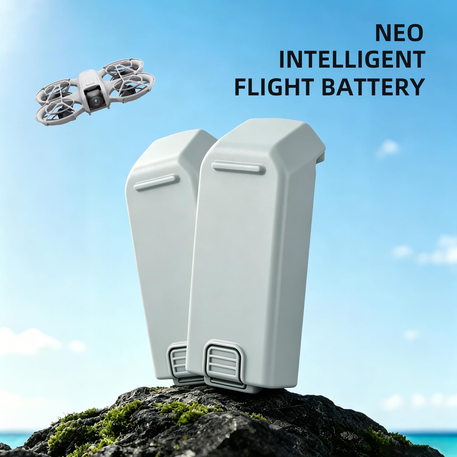 DJI Neo Batterie Li-ion 1435 mAh Lot de 2 Rechange Intelligente Compatible Drone DJI Neo