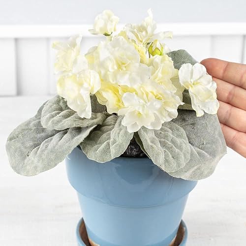 Miniatura 4 de Factory Direct Craft Lavender and Beauty - Arbustos de flores artificiales de seda rosa africana  Paquete de 3 flores artificiales individuales de