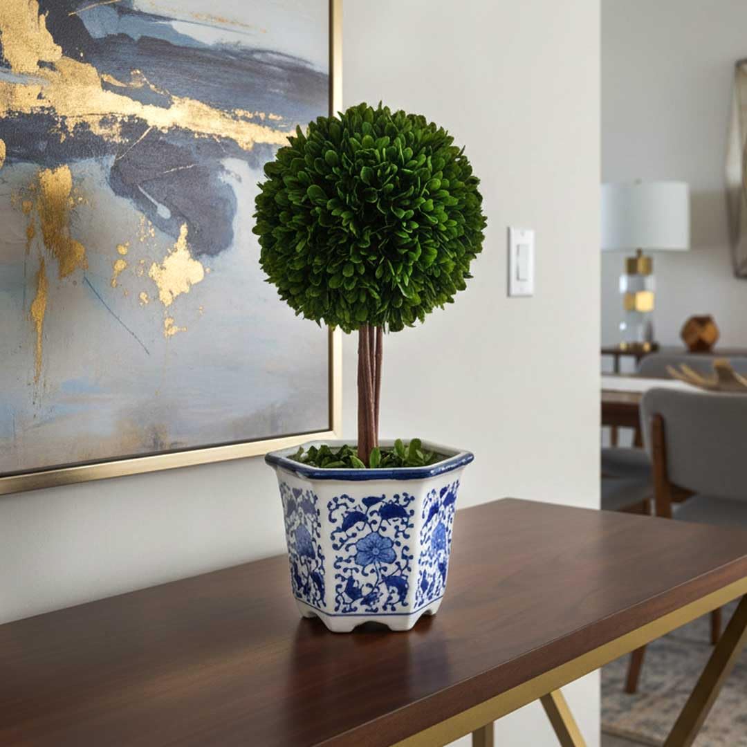 Galt International Preserved Boxwood Topiary Tree in Ceramic Pot Plant and Table Centerpiece Stunning Greenery and Plant Decor for Home Blue & White Ceramic Pot 5.9" Diameter Topiary 14" Tall
