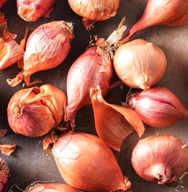 Miniatura 9 de TomorrowSeeds - Juegos de chalota Nero (Bulbs) - 4 libras - para semillas de siembra 2025 Hybrid F1 Round Traditional Echalote Cebolla Set Cebolleta