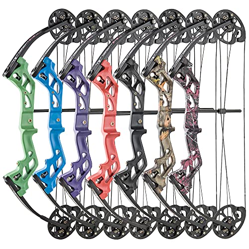 Archery Compound Bow, Compound Bow And Arrow For Youth, Beginner, Adults, Compound Bow Set With Archery Hunting Equipment, 17"-27" Draw Length, 10-30Lbs Draw Weight, 260Fps Ibo, Bow Only 2.54Lbs #TOP4