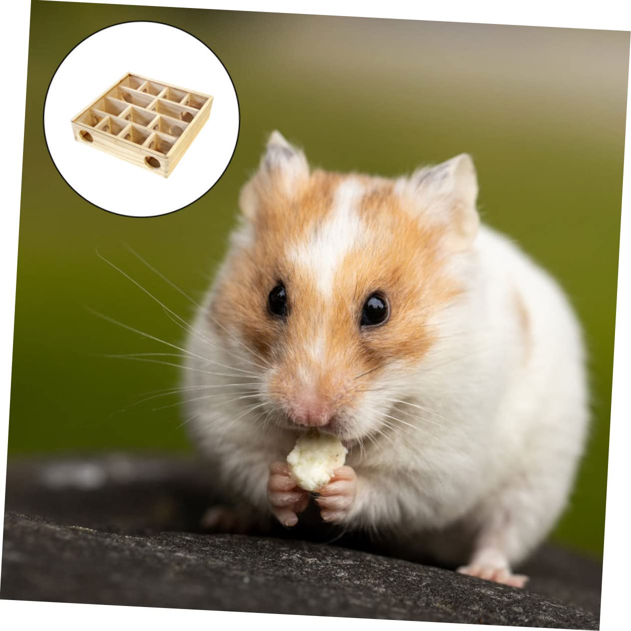 Gadpiparty Holz Hamsterlabyrinth Haustierzubehör mit Wippe und Kauspielzeug Fördert Gesundes Wachstum und Verhindert Übergewicht für Kleintiere im Haushalt