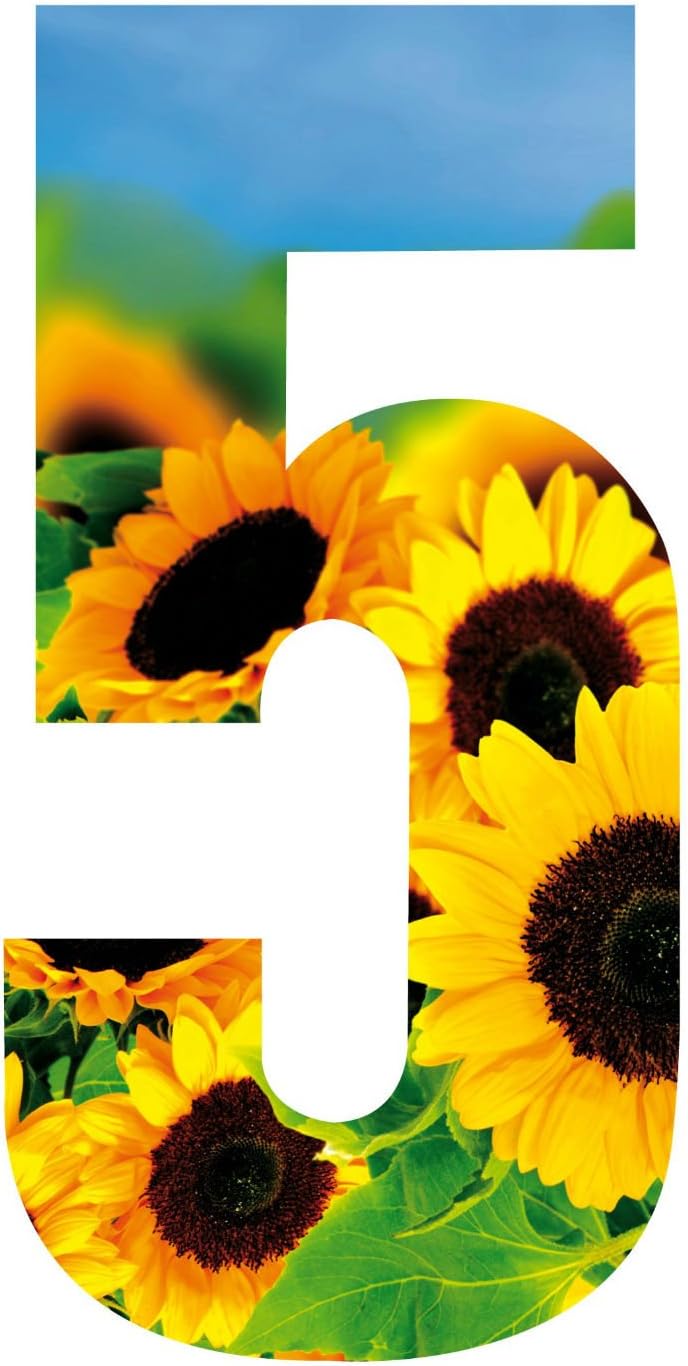 MONOGRAM Classic Signs Wheelie Bin Number Sunflower 5