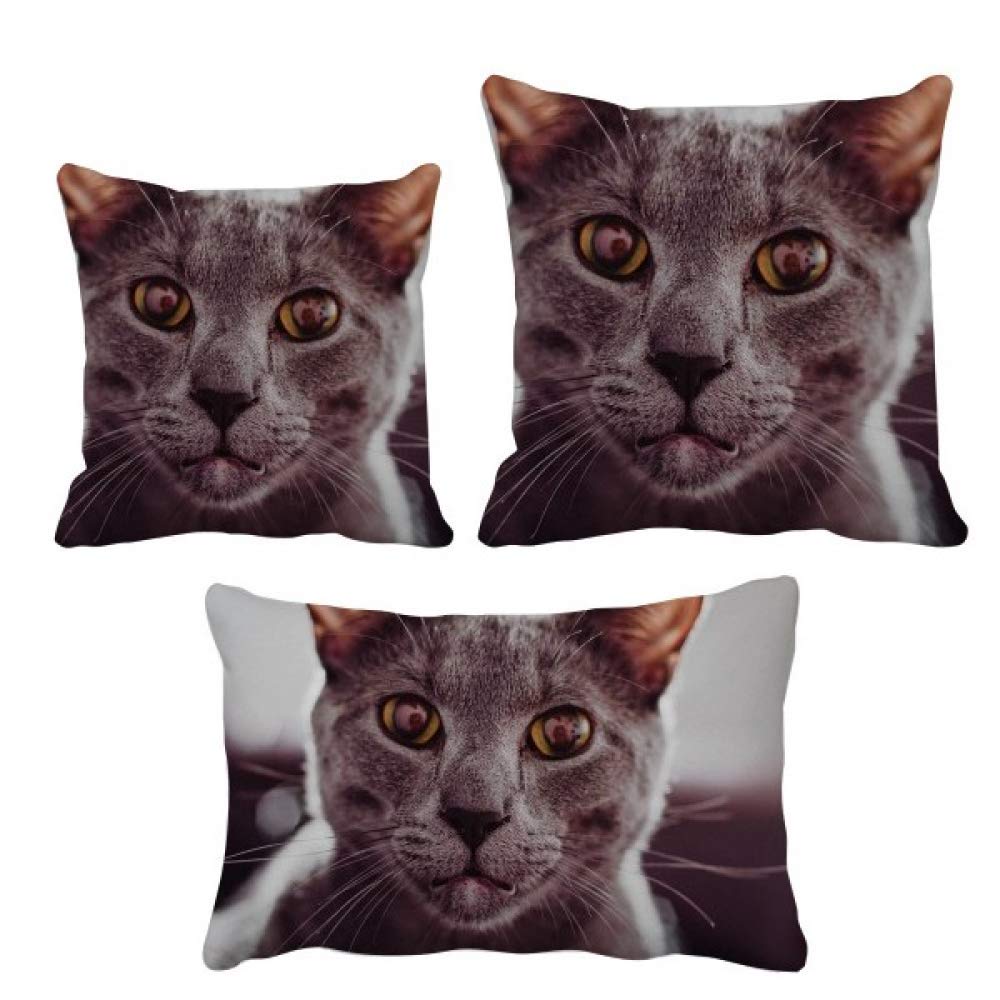 Coussin photo de chat gris DIYthinker oreiller decoratif pour chambre