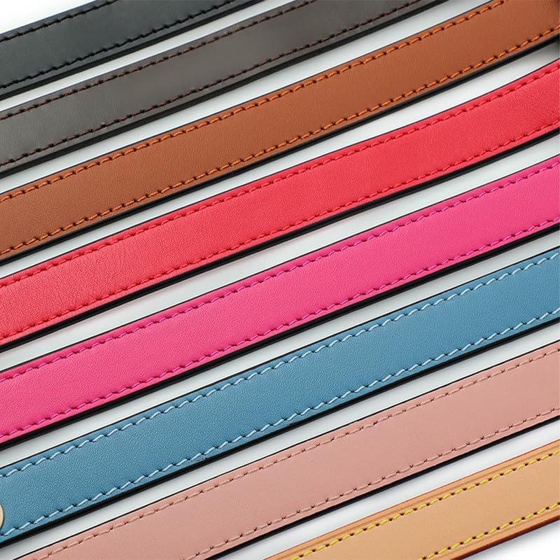 Bag Strap 3 Gears of Adjustable Length Purse Straps Replacement Crossbody Leather Strap for Handbags Silver Clasp Apricot