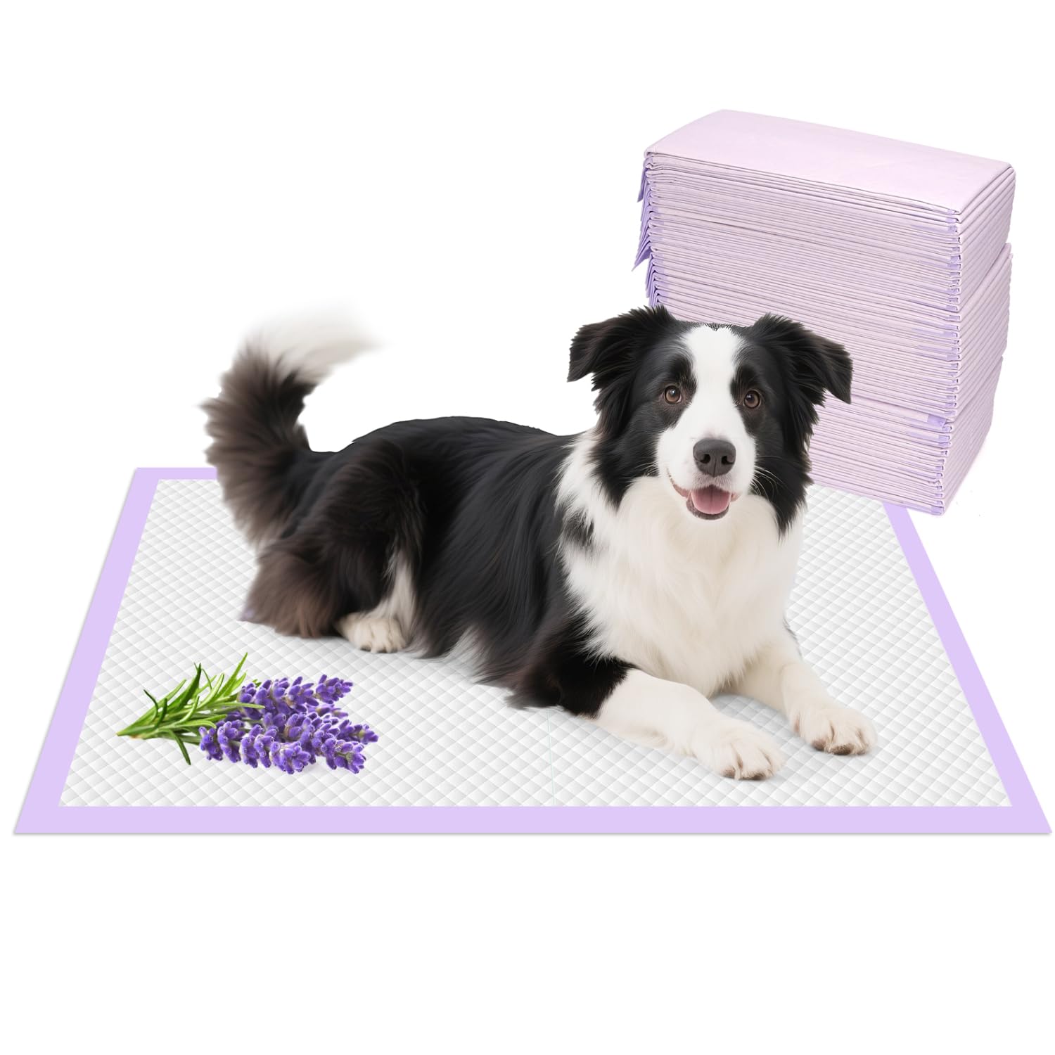 Nobleza Empapadores Para Perros Con Carbón Activado (90x60cm, 100 Unidades) - Absorción Instantánea Y Control De Olores | Antiderrames