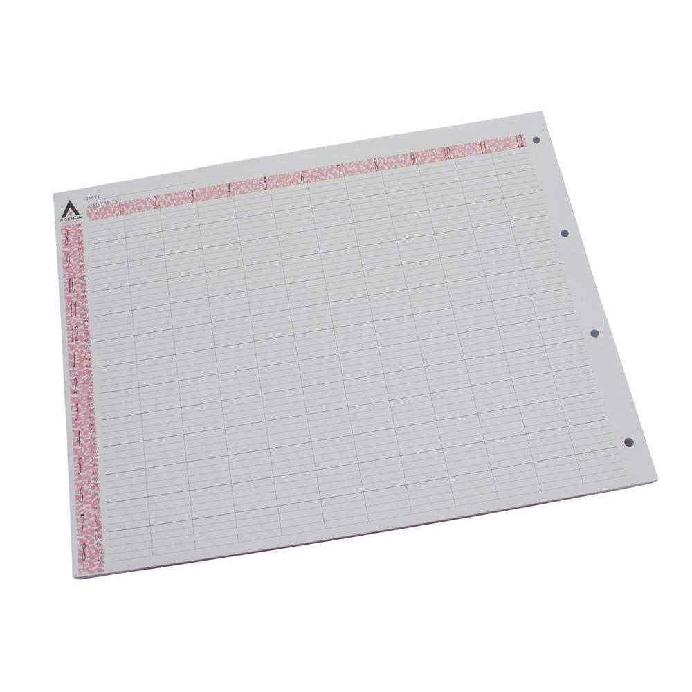 Agenda Loose Leaf Refill 12 Assistant