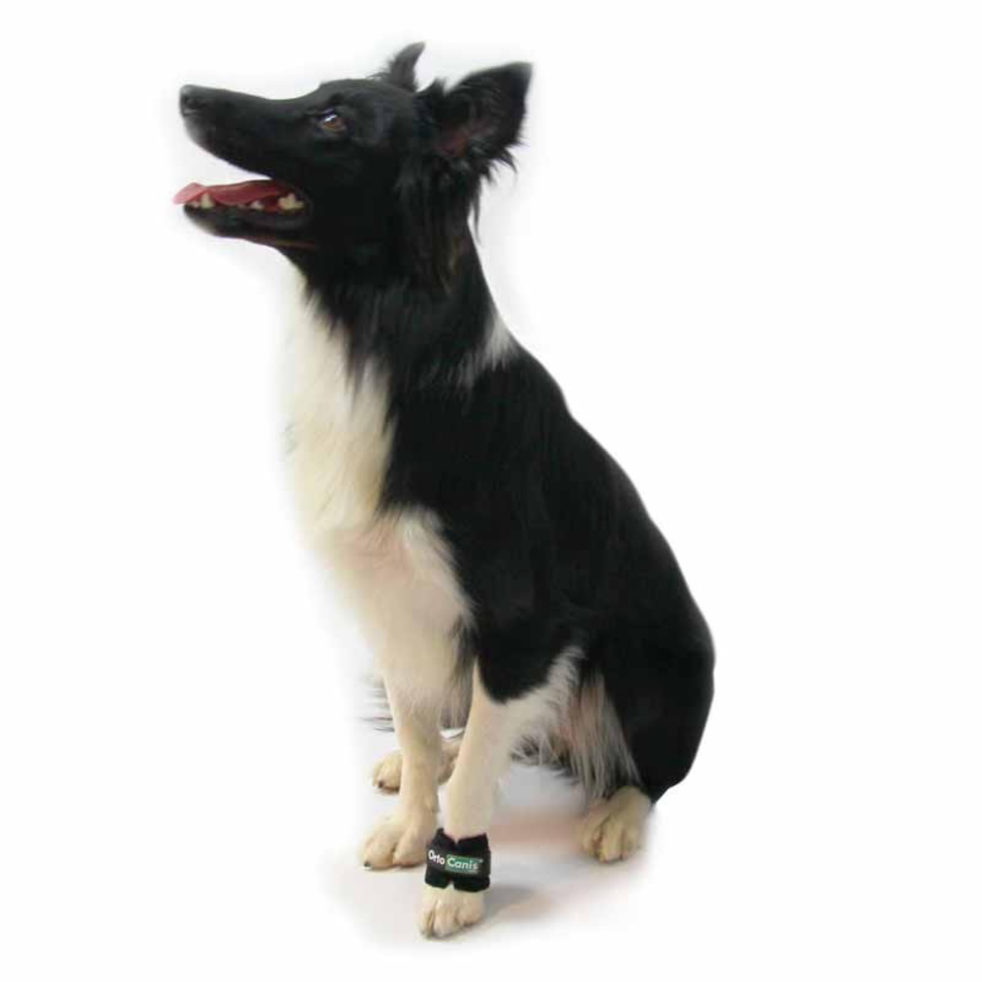 Ortocanis - Poids pour Chiens - Renforcement Musculaire et Rééducation des Membres et des Pattes - Taille : S 12-16 cm - De 50 à 100 gr - Nylon et Velcro Résistant - Facile à Utiliser et à Laver