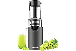 Compact Cold Press Juicer for Vegetables and Fruits