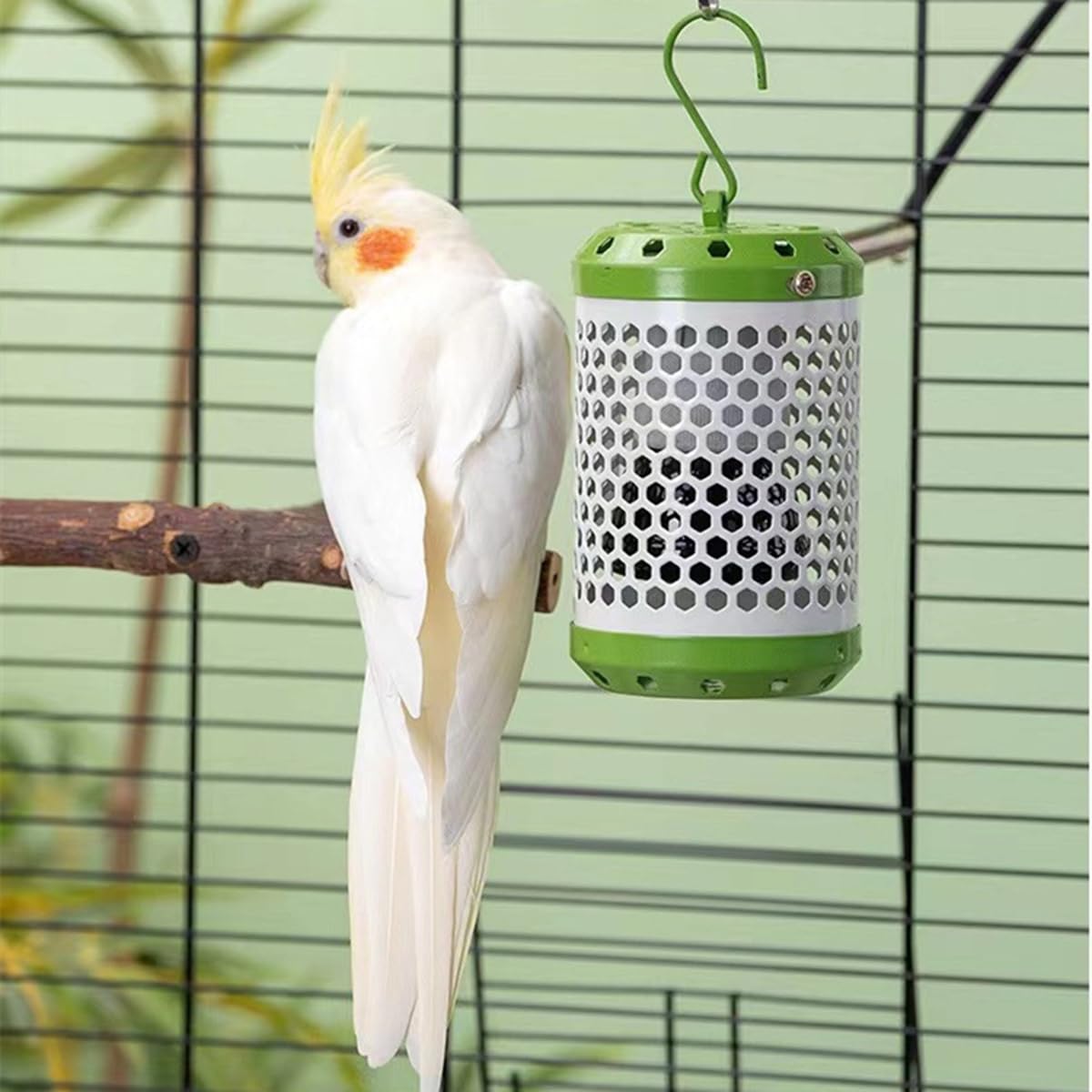 Amazon | 鳥 ヒーター インコ とり暖寄りそいヒーター 爬虫類ヒーター