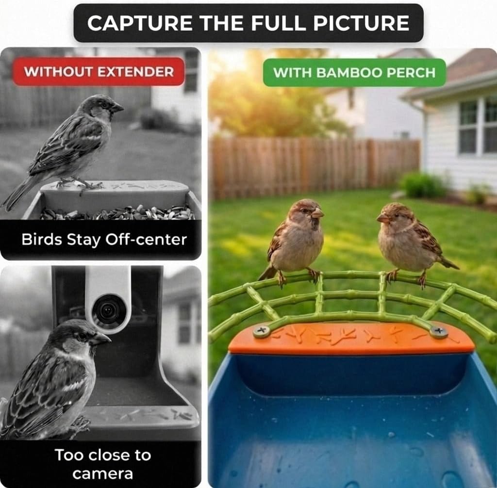 Bird Feeder Perch Extender Compatible with Bird Buddy, Bamboo-Style ABS image 3