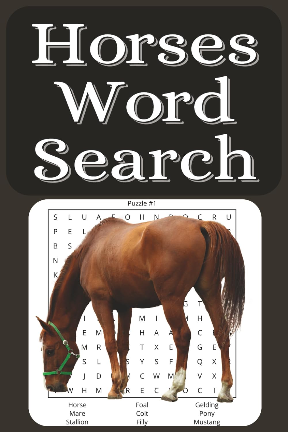 Horses word search book: Word searches with easy to read print about horses, mares, pony, stallion, and more | 6x9 inches, 110 pages | 50+ Puzzles ... gift for vacations, holidays and free times