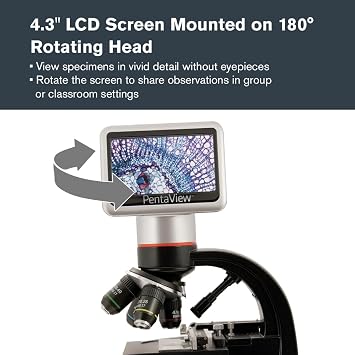 Celestron PentaView LCD Digital Microscope 4.3 Screen 5MP Camera 40x2400x Magnification Rotating Head SD Card Included TV Output Ideal for Slides, Labs, Classrooms, Biology, Education