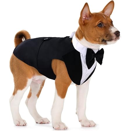 Amazon.com: Conjunto de traje de esmoquin para perro pequeño, camisa formal  para cachorro con lazo ajustable, ropa de sesión de fotos para Chihuahua,  Boston Terrier, Bichón, Corgi, Pomerania, 2 piezas/paquete : Productos