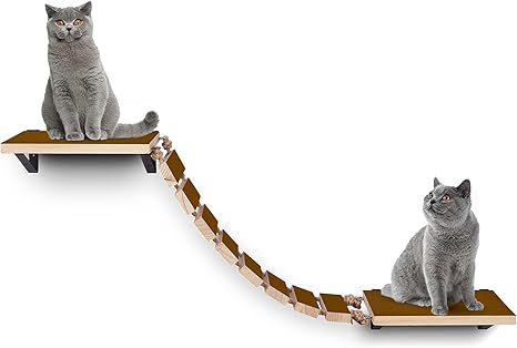 amazon cat hammock