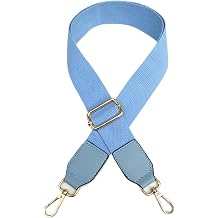 Purse Straps Replacement Crossbody 2pcs Purse Strap Bag Strap for Cross Body O Bag Belt Accessories DIY Women Shoulder Bag Handles Handbag Straps for BagNO.1060Sky Blue,Silver