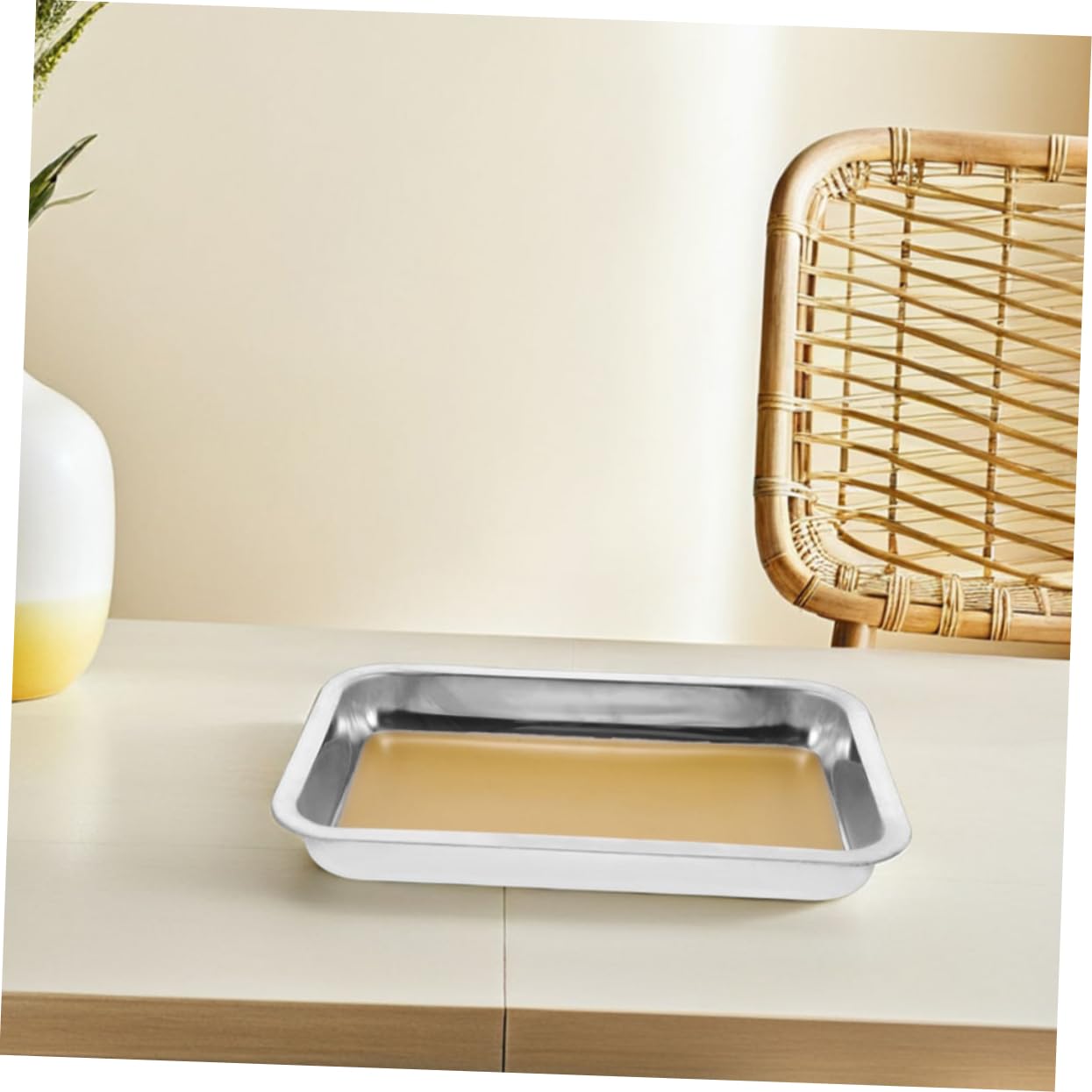 GLEAVI Plateaux de Dissection Facile à Nettoyer en Acier Inoxydable Lot de 2 Surface Antidérapante 31x21cm pour Laboratoires de Recherche et Formation