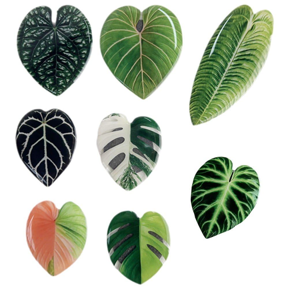 Aimants de réfrigérateur monstera cadeau pendaison de crémaillère