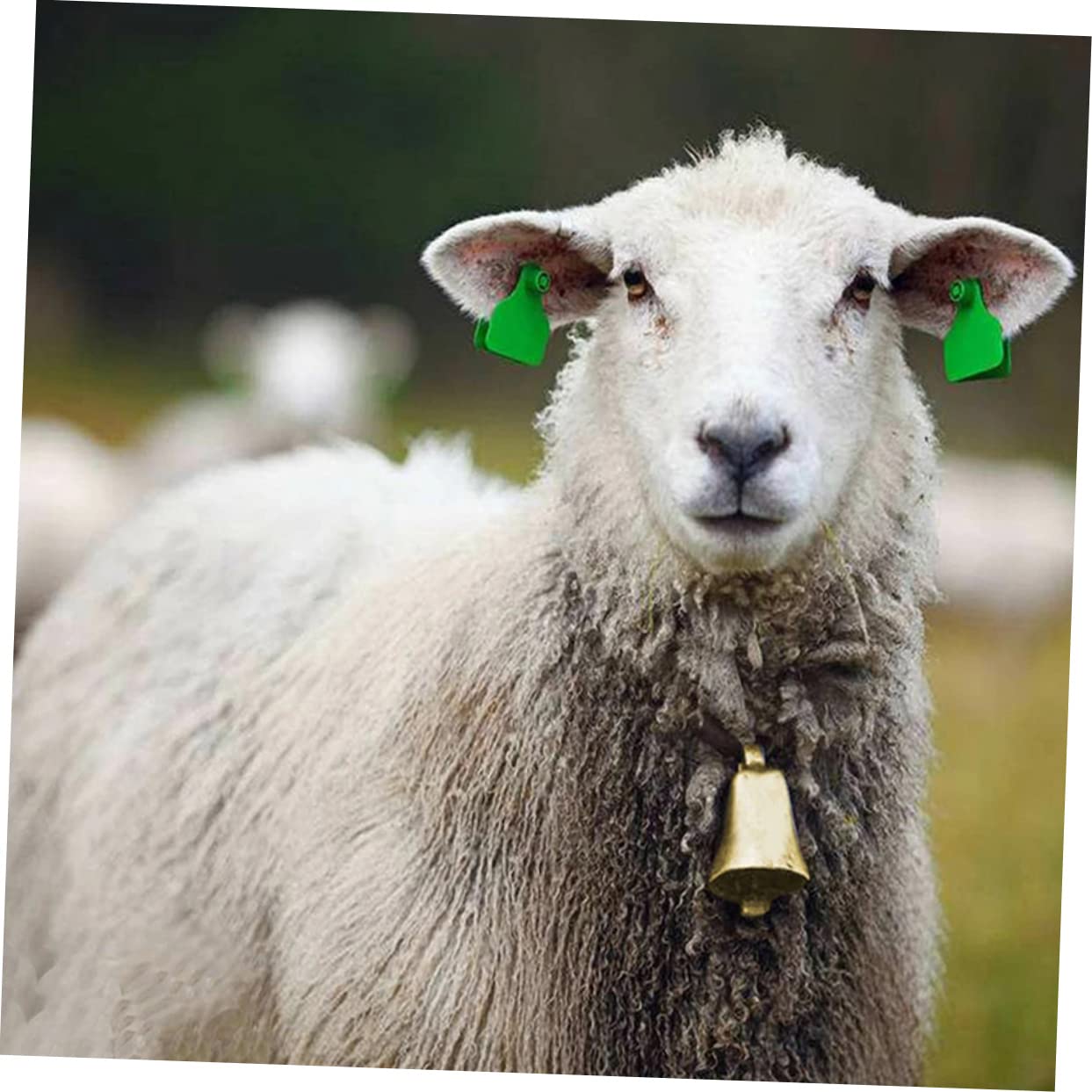 Alipis 2sets Cow Bell for Wreath Farm Supply Cheering Bell Vintage Style Small Size Perfect Present 4pcs*2