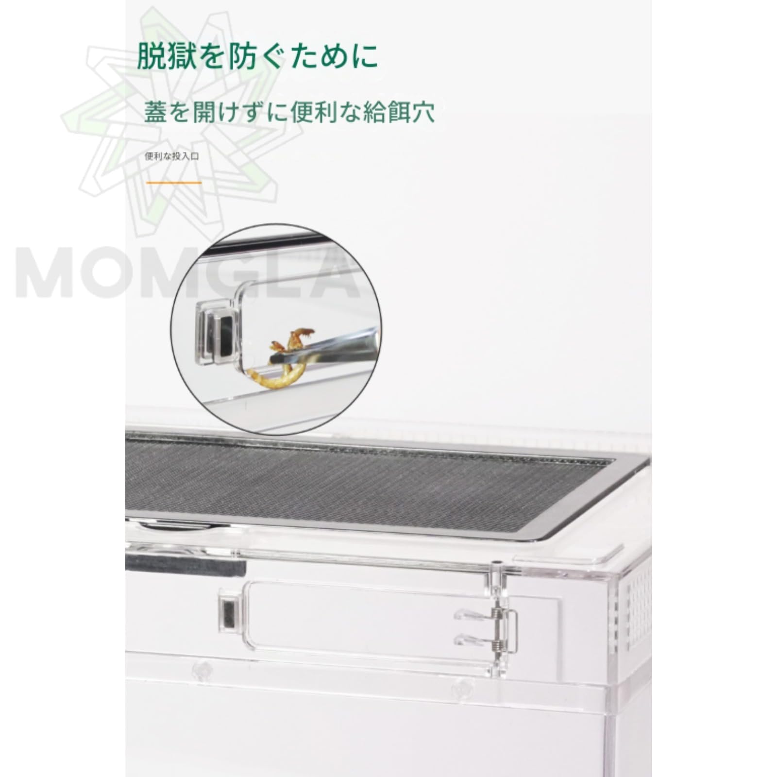 Amazon | 虫かご 大 爬虫類ケージ 飼育容器、トカゲ、30cm/40cm/50cm