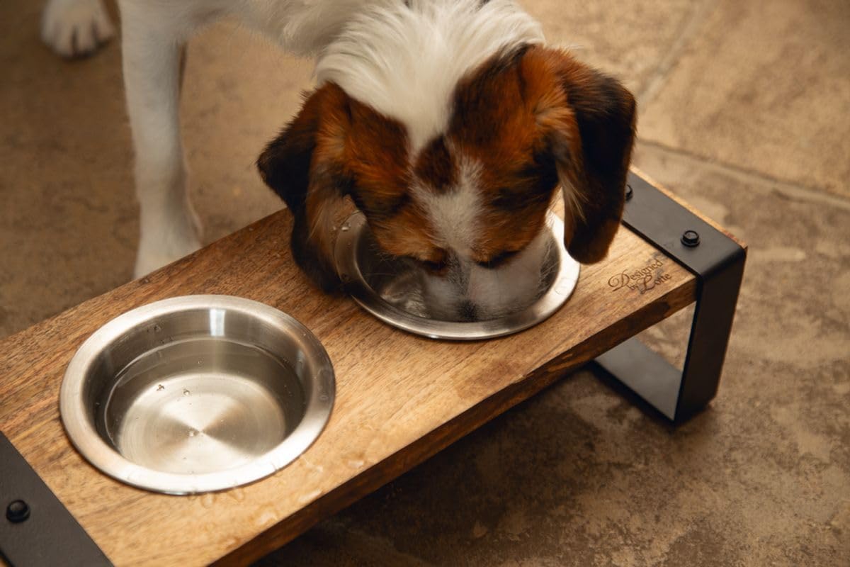 Beeztees K&Bz Hundegeschirr, Holz, Karint, 56 x 28 x 18 cm, 2 x 1300 ml, Braun, 2000 g