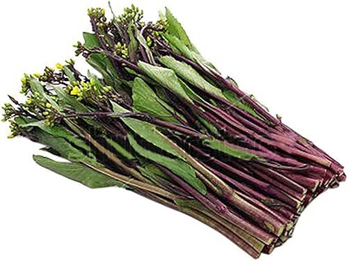 Kosaitai Raab - Brassica Rapa VAR Purpurea Seeds