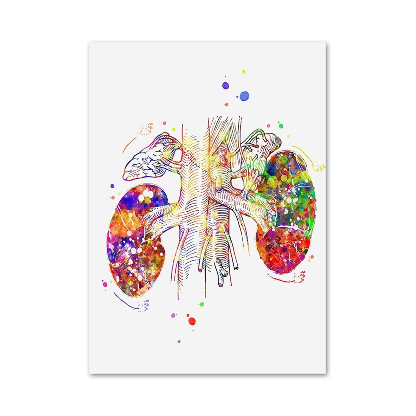 1pc Mózg Serce Wątroba Płuca Kolorowa Anatomia Szpital Obraz Ścienny Na Płótnie Plakaty I Druki Zdjęcia Lekarz Dekoracje Biurowe(2,40x50cm Canvas)