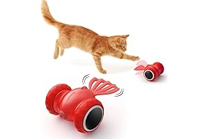 Alluring LED Light-Up Goldfish Cat Toy