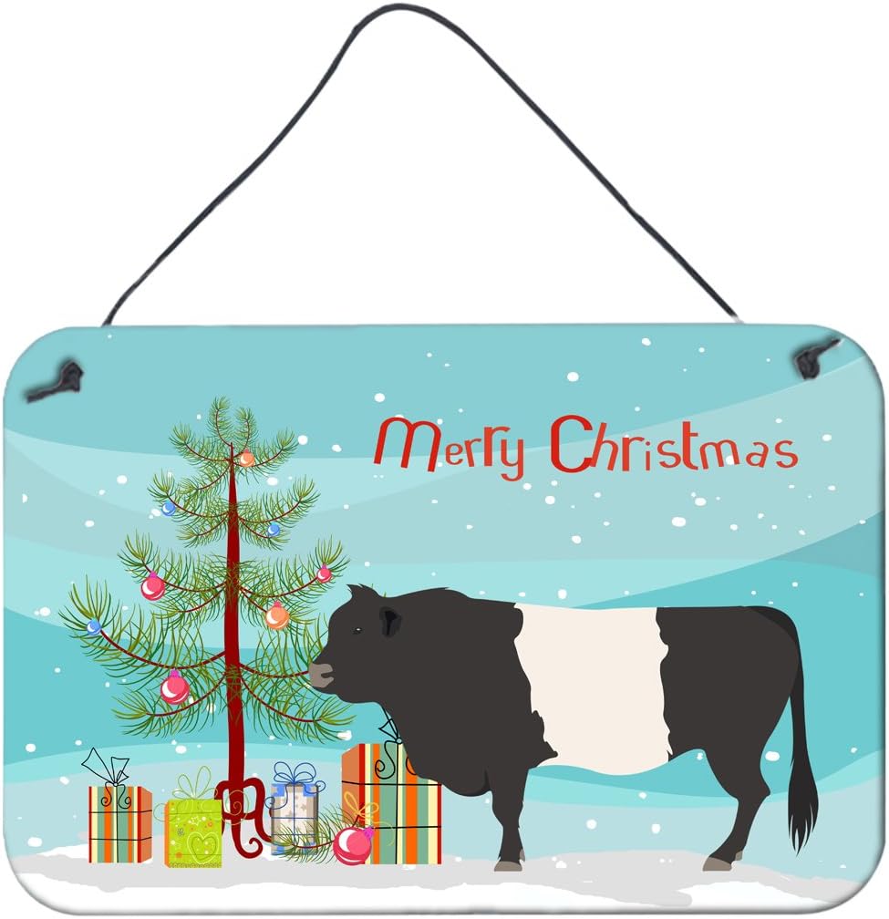 Caroline's Treasures BB9198DS812 Belted Galloway Cow Christmas Wall or Door Hanging Prints, Teal Aluminum Metal Sign Kitchen Wall Bar Bathroom Plaque Home Decor, 8x12, Multicolor
