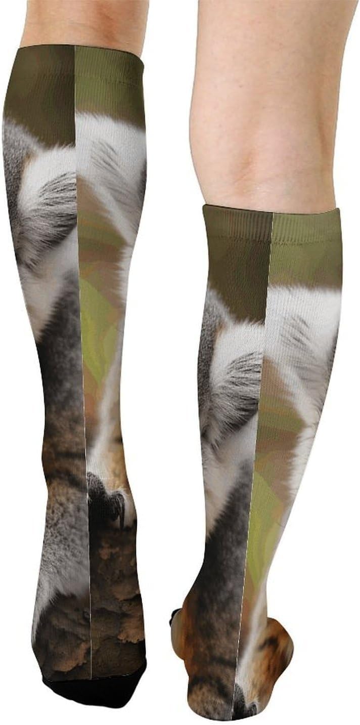 Monkey Lemur Knee High Soccer Socks Moisture Wicking
