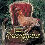 Eucalyptus