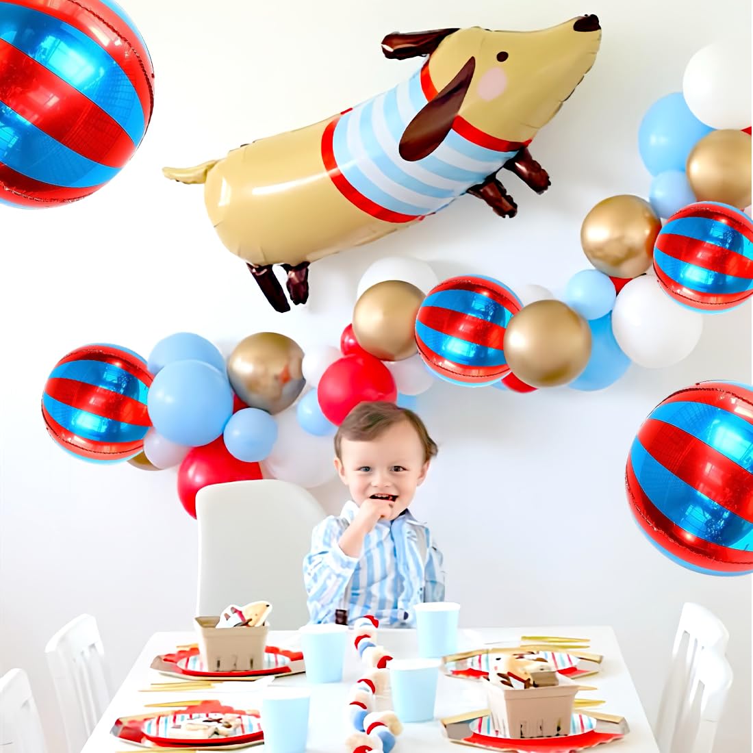 6 Palloncini Zoo Party per il compleanno del tuo bambino